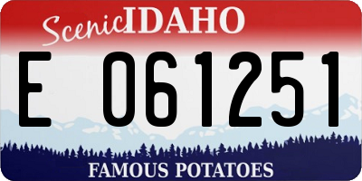 ID license plate E061251