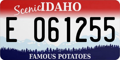 ID license plate E061255