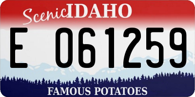 ID license plate E061259