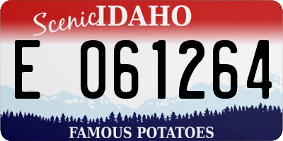 ID license plate E061264