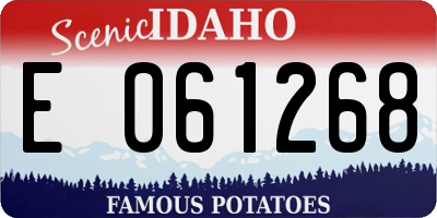 ID license plate E061268
