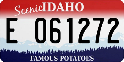 ID license plate E061272