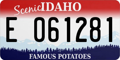 ID license plate E061281