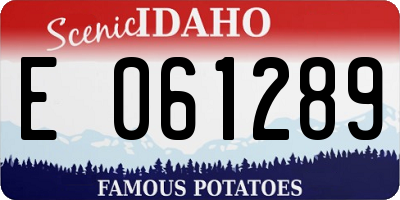 ID license plate E061289