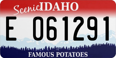 ID license plate E061291