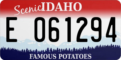 ID license plate E061294