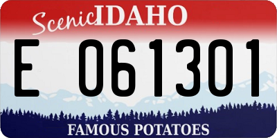 ID license plate E061301
