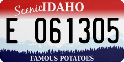 ID license plate E061305