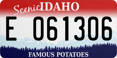 ID license plate E061306