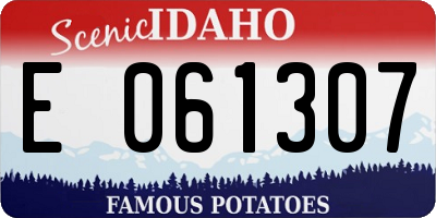 ID license plate E061307