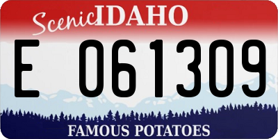 ID license plate E061309