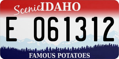 ID license plate E061312