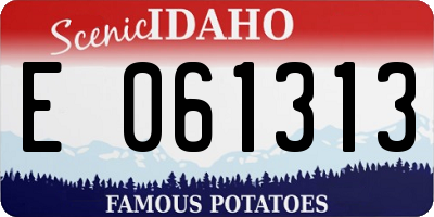 ID license plate E061313