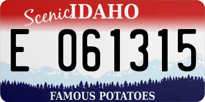 ID license plate E061315