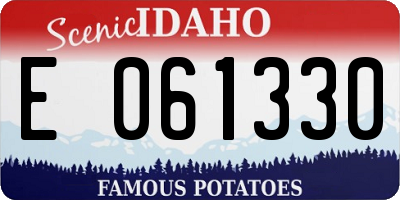 ID license plate E061330