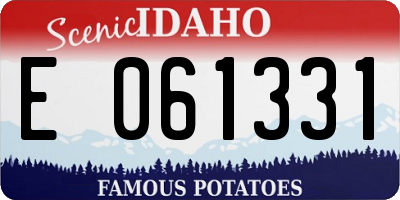 ID license plate E061331