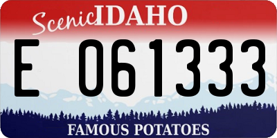 ID license plate E061333