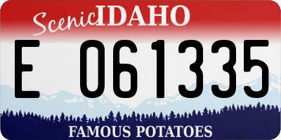 ID license plate E061335