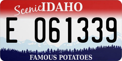 ID license plate E061339