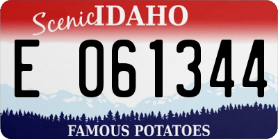ID license plate E061344