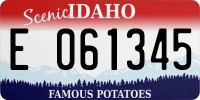 ID license plate E061345