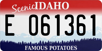 ID license plate E061361