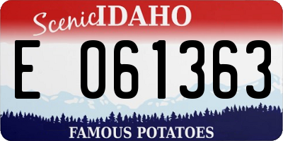 ID license plate E061363