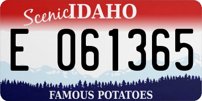 ID license plate E061365