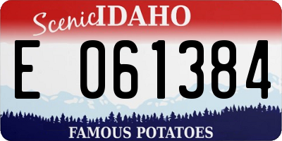 ID license plate E061384