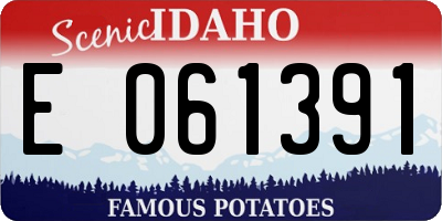 ID license plate E061391