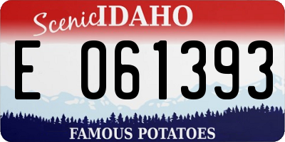 ID license plate E061393