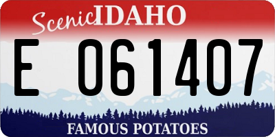 ID license plate E061407
