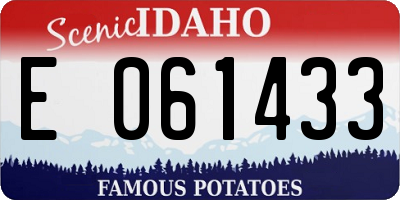 ID license plate E061433