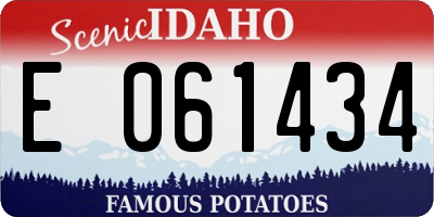ID license plate E061434