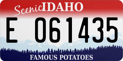 ID license plate E061435
