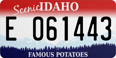 ID license plate E061443