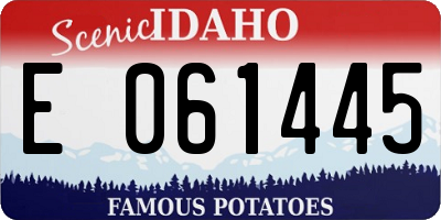 ID license plate E061445