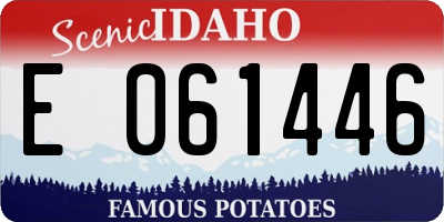 ID license plate E061446