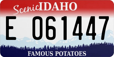 ID license plate E061447
