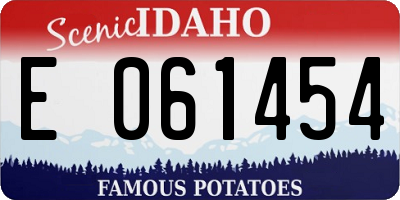 ID license plate E061454