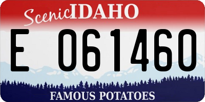 ID license plate E061460