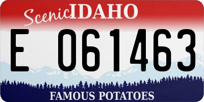 ID license plate E061463