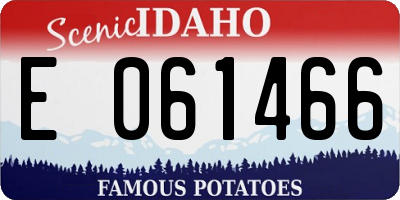 ID license plate E061466