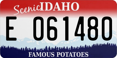 ID license plate E061480