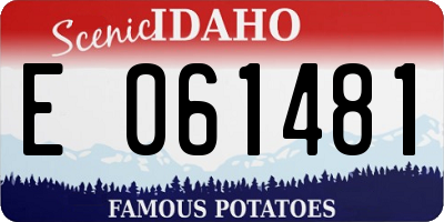 ID license plate E061481