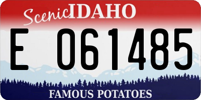 ID license plate E061485