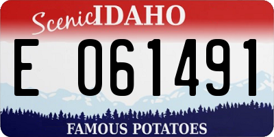 ID license plate E061491