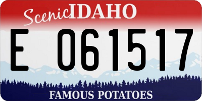 ID license plate E061517