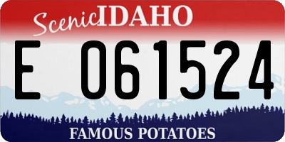 ID license plate E061524