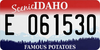 ID license plate E061530